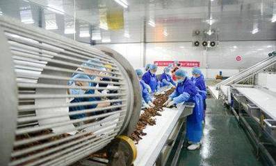 科技賦能鮮味體驗 每日優鮮小龍蝦節開啟，超聲技術驅動生鮮開發新篇章